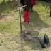 mini-IMG_1350